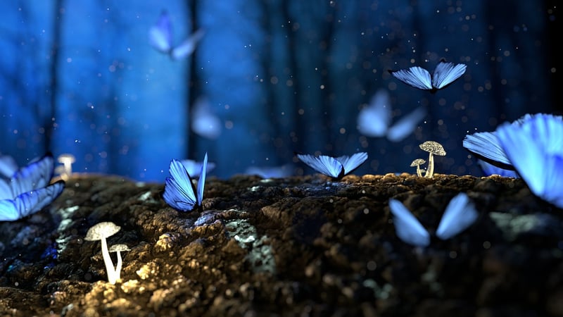 Glittering Glade